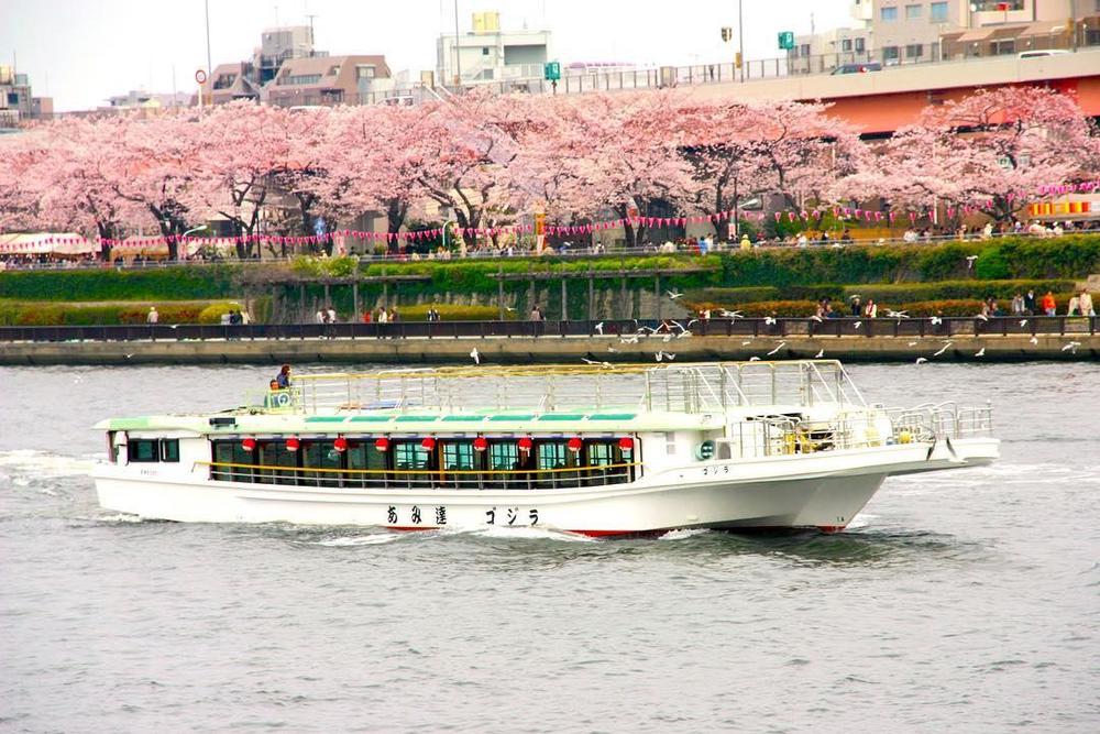 tokyo cruise asakusa
