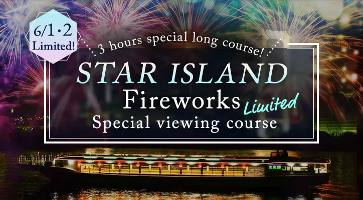 Odaiba Rainbow Fireworks Viewing Course